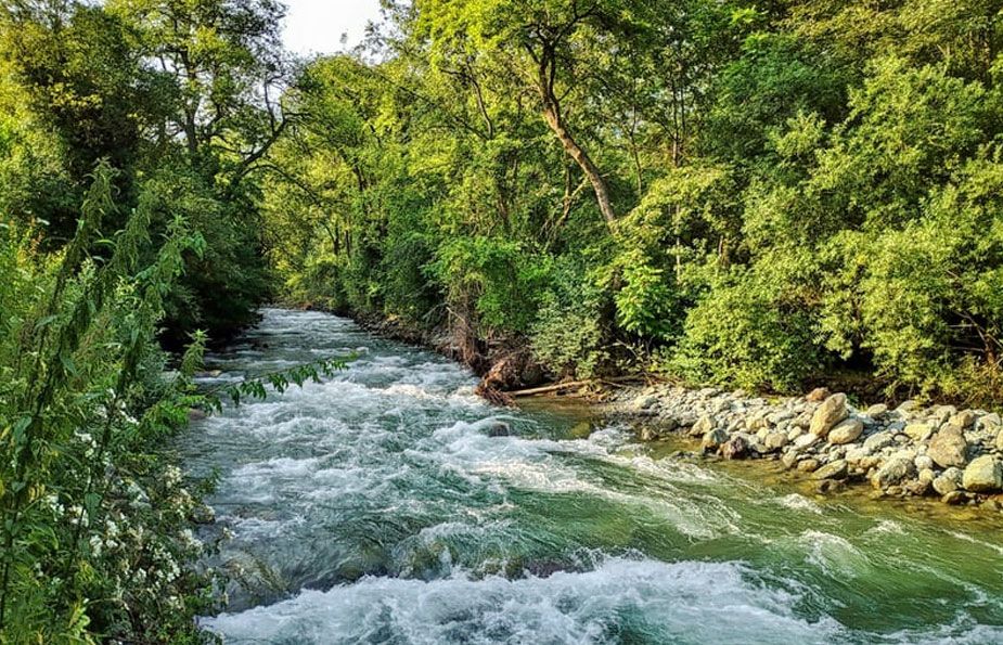 Dachigam-National-Park