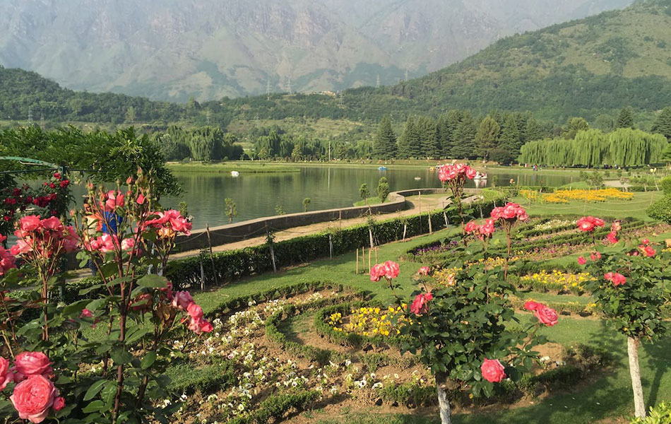 nehru-botanical-garden